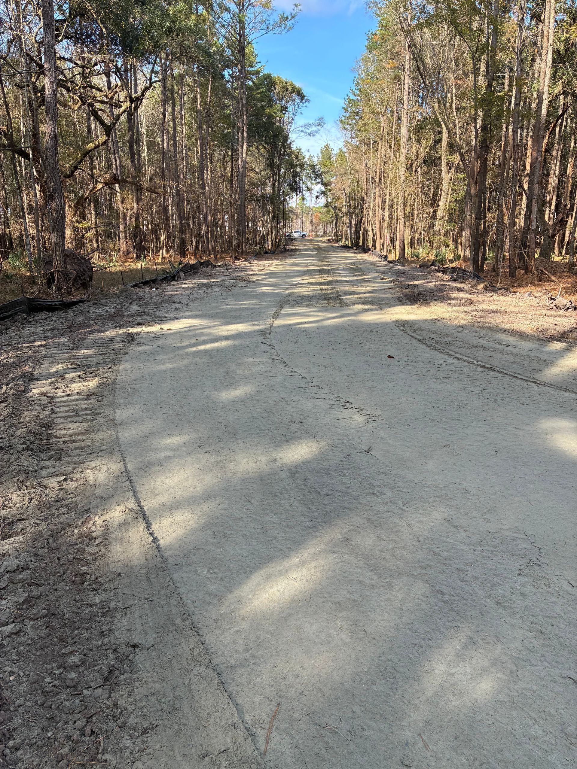 A sandy, unpaved road leads through a dense forest under a bright blue sky.