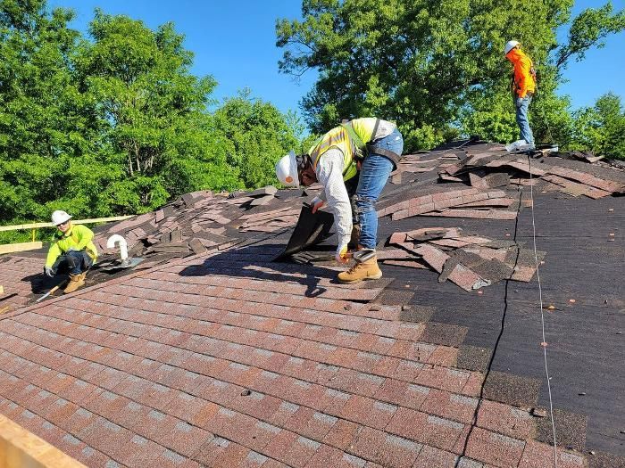 Roofers in safety gear repairing shingles on a rooftop, trees in the background.