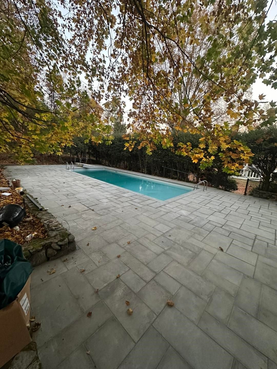 A large swimming pool is surrounded by trees in a backyard.