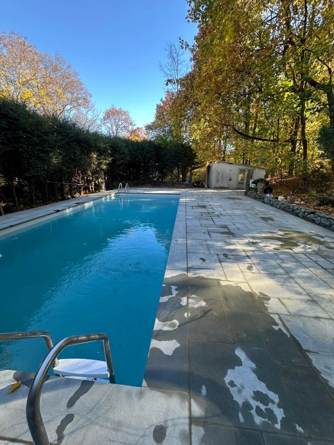 A large swimming pool is surrounded by trees on a sunny day.