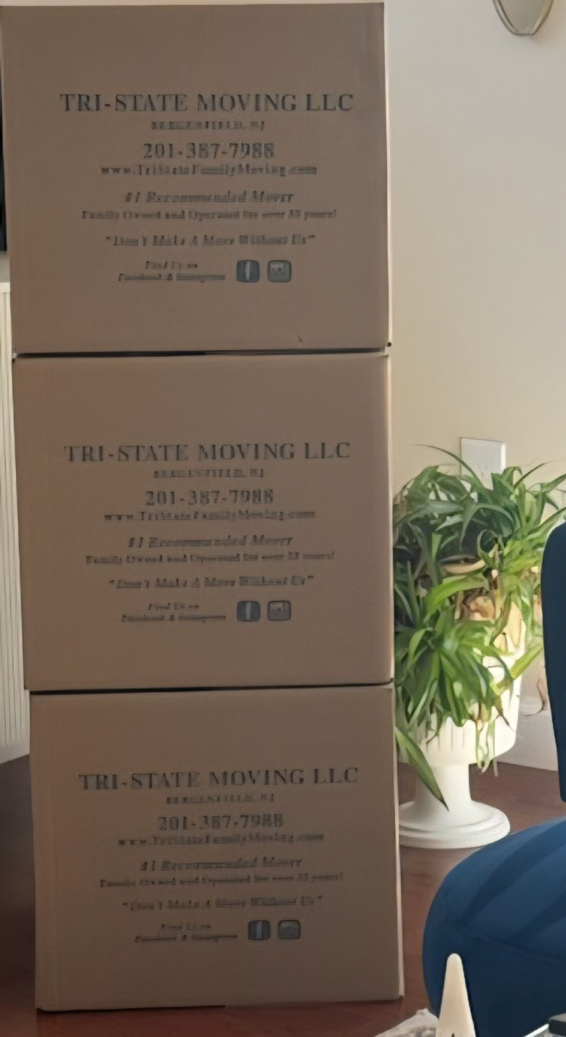 Three stacked moving boxes beside a potted plant in a room with a blue chair edge visible