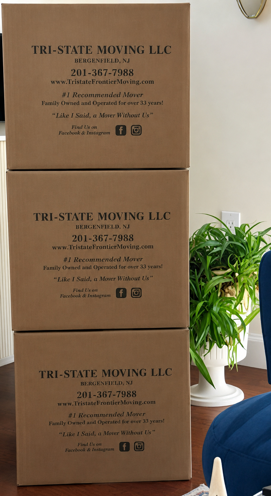 Stacked moving boxes beside a potted plant in a home interior