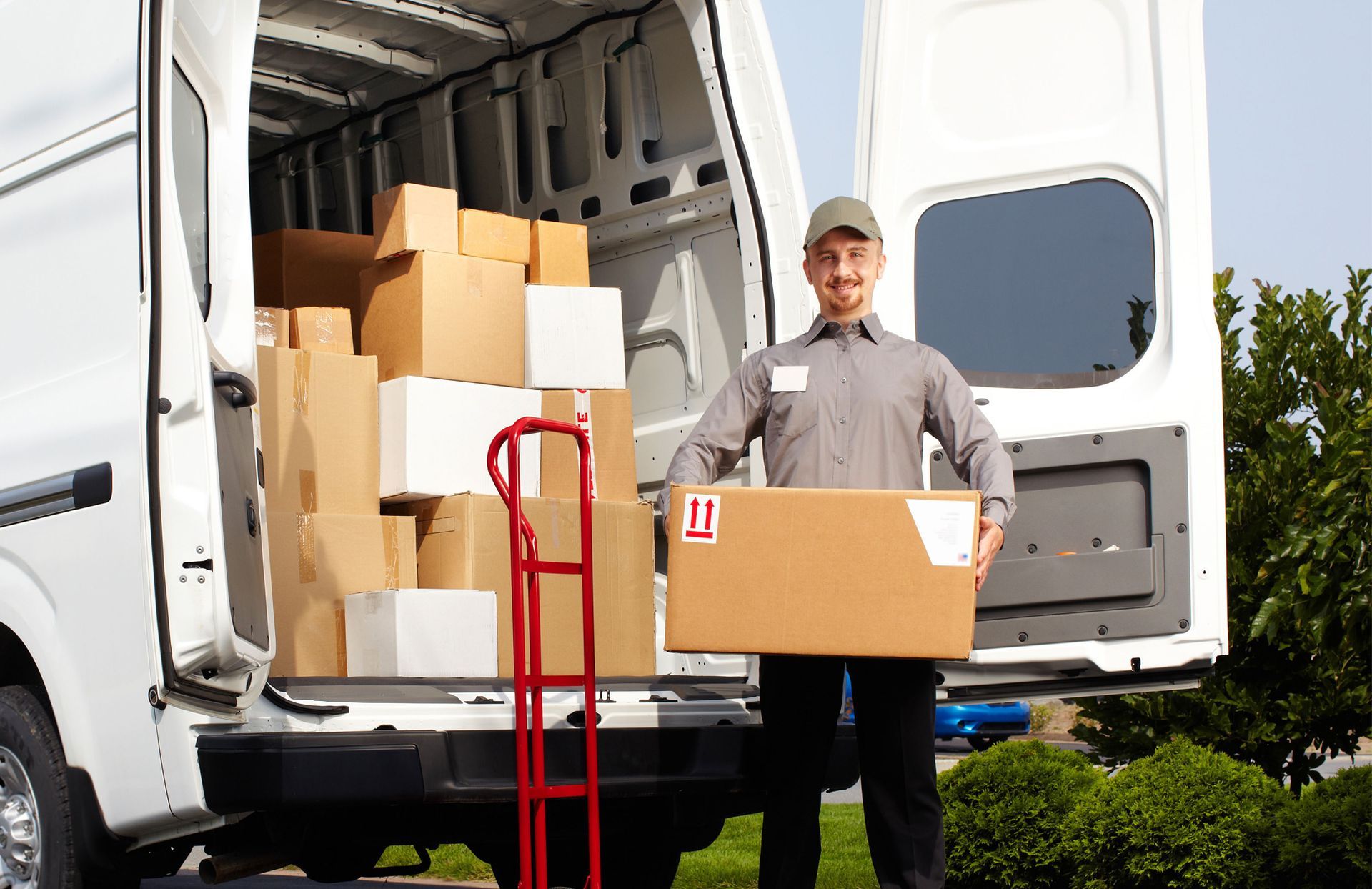 Local and Long Distance Moving
