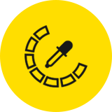 Custom color matching