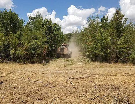 A tractor clearing brush in a wooded area; dust and debris rising.