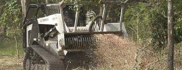 A Bobcat mulcher grinding trees into wood chips in a forest.