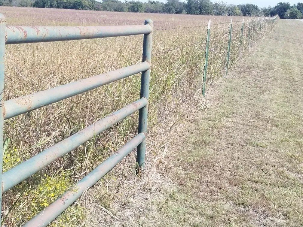 Green metal gate open to a field, next to a wire fence with green posts, brown grass, and crops.