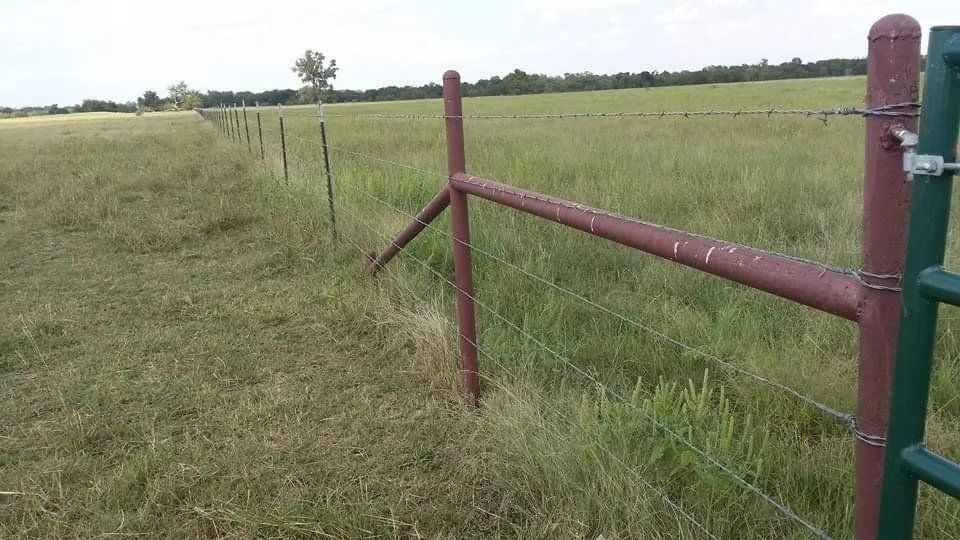 Brown metal fence with barbed wire in a grassy field. A green gate is visible on the right.