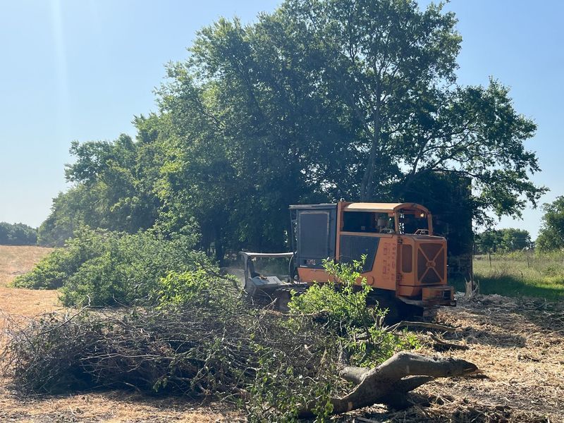 Orange truck next to pile of branches, clearing trees in a field on a sunny day.