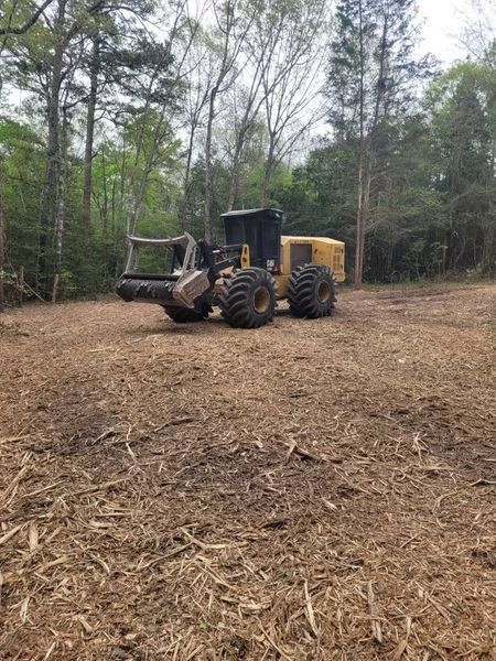 A large yellow logging machine in a cleared forest area.