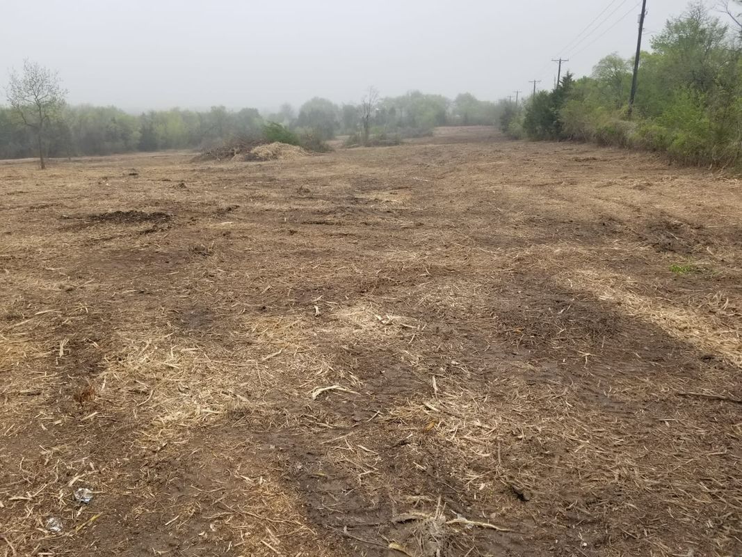 Cleared field with scattered debris, trees lining the edges, and a hazy sky.