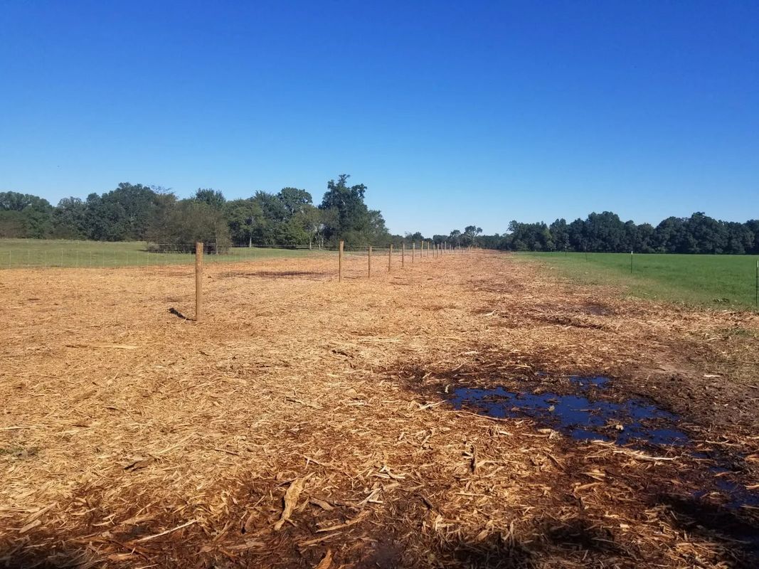 Field with dry, brown vegetation; posts in a row; a puddle; trees in the background under a blue sky.