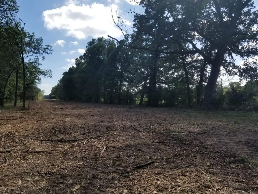 A cleared dirt path with wood chips leads into a line of tall green trees under a partly cloudy sky.