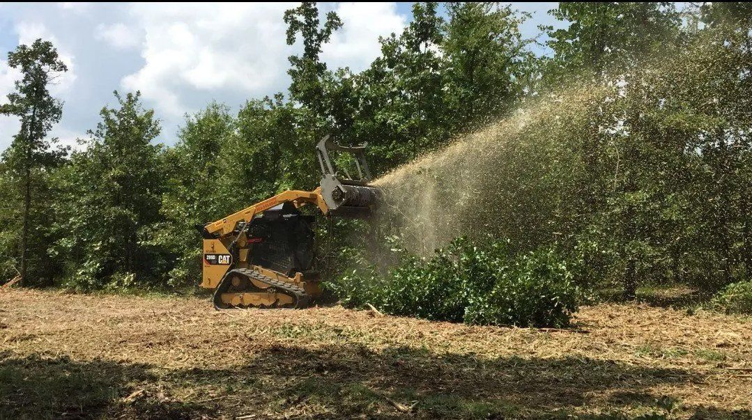A skid steer mulching trees in a wooded area, spraying wood chips.