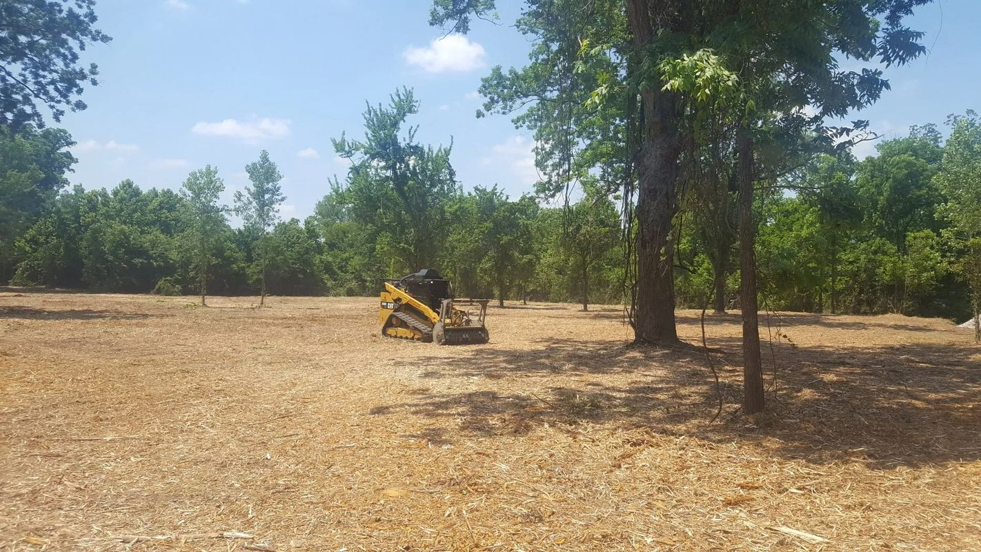 Yellow skid steer on a cleared, brown field with trees under a blue sky.