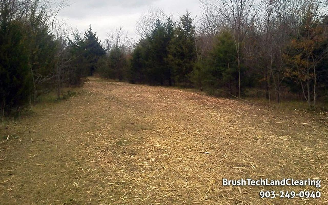Wood-chipped path through a wooded area with trees on either side.