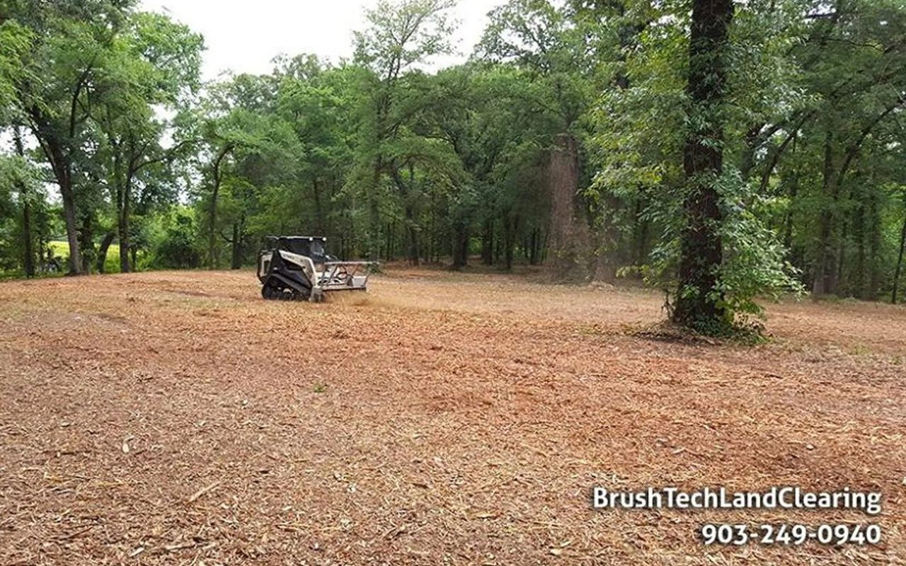 Skid steer mulching a cleared area in a wooded setting. Wood chips visible.