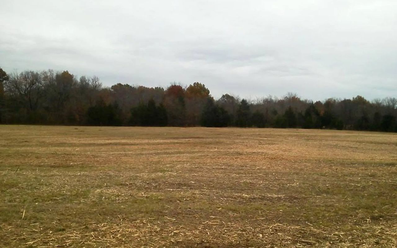 A harvested field stretches to a line of trees under an overcast sky.