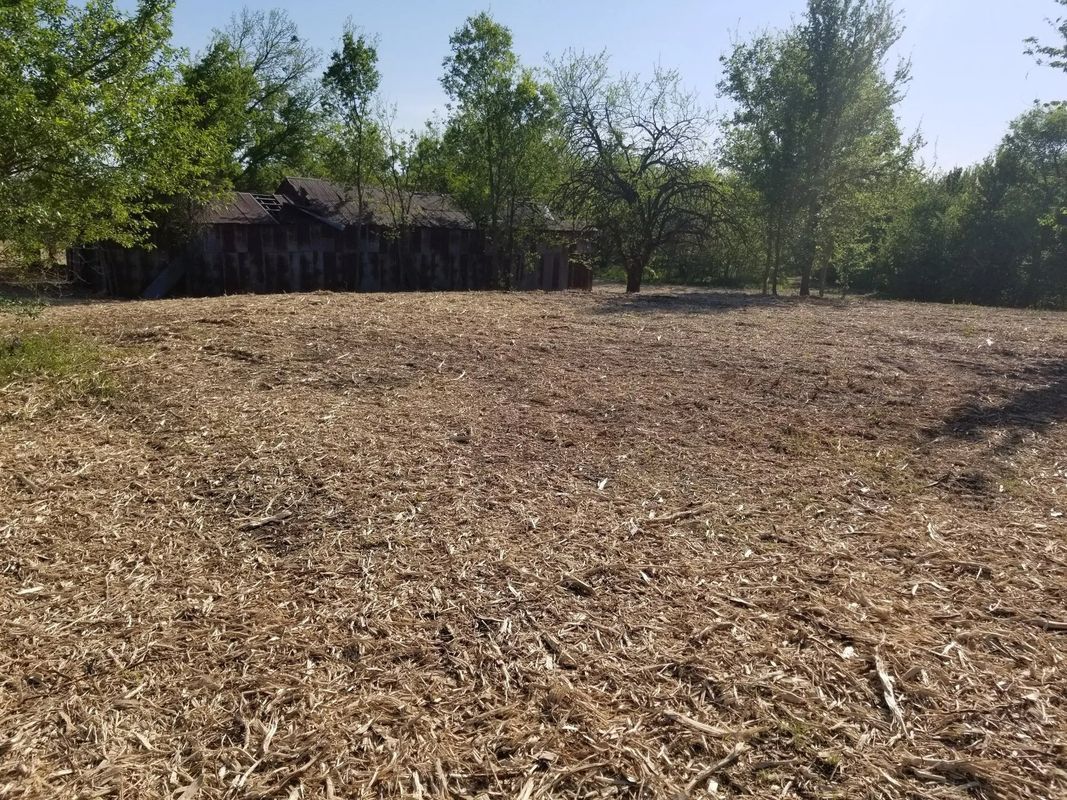 Dry field with brown vegetation, trees, and a weathered building in the background. Sunny day.