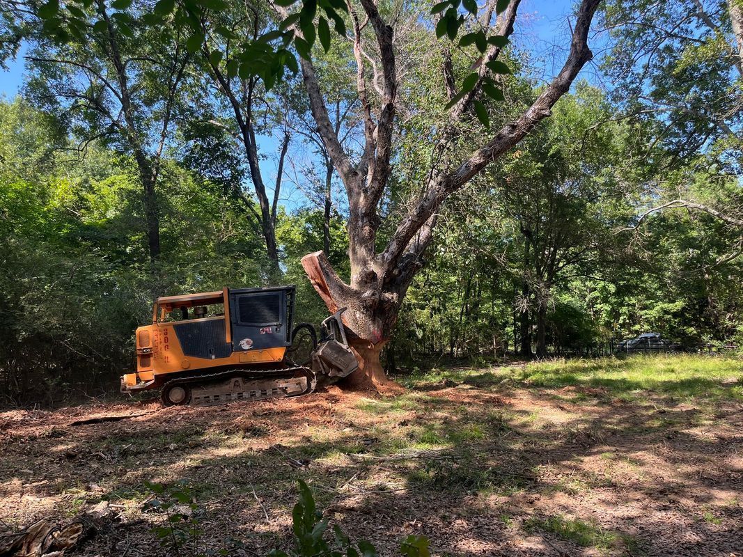 A small tractor with a cutting blade fells a tree in a clearing.