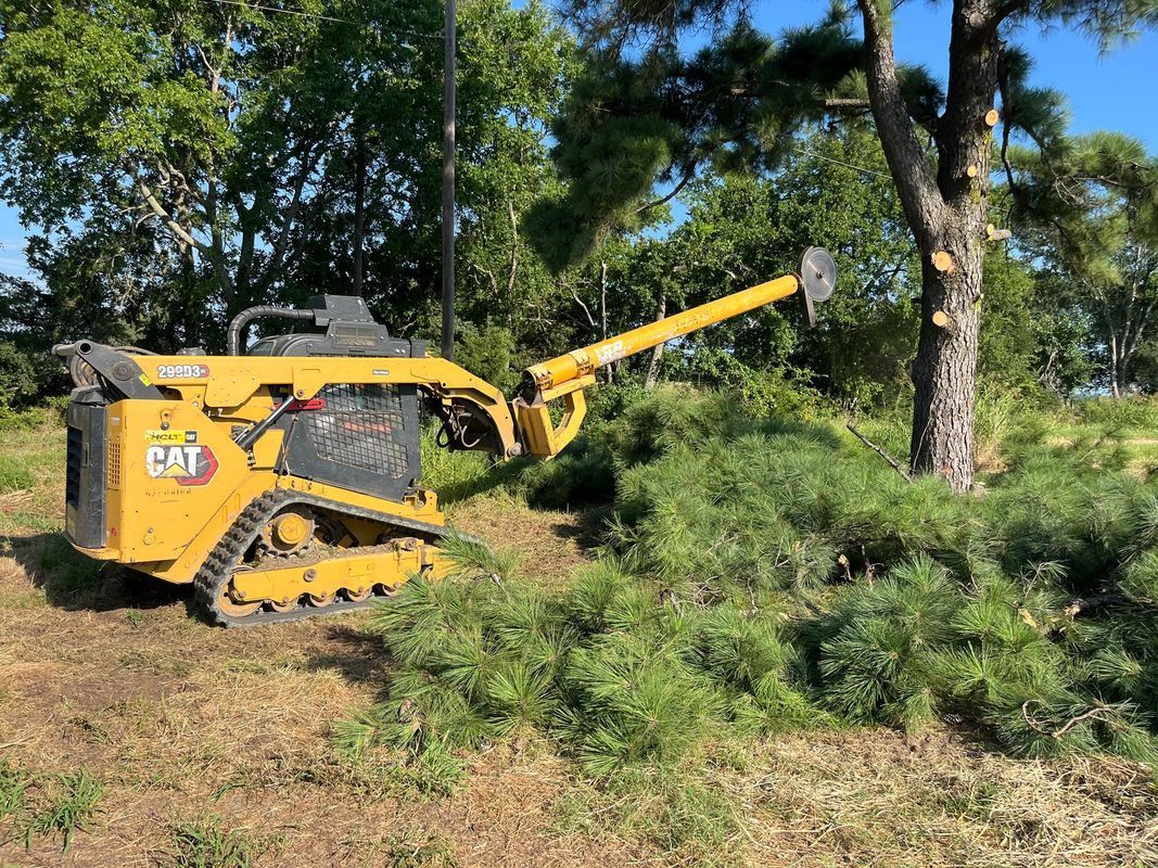 Yellow CAT skid steer with cutting arm trimming a tree in a grassy area.