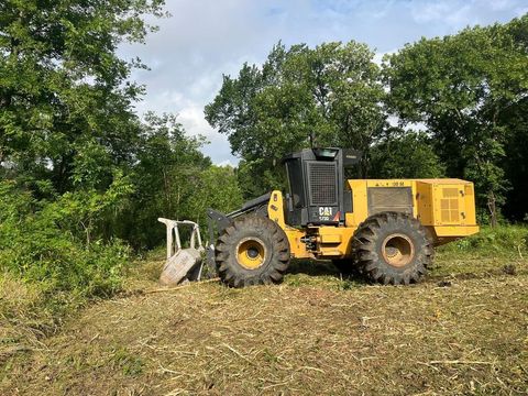 Yellow industrial loader clearing brush near trees.