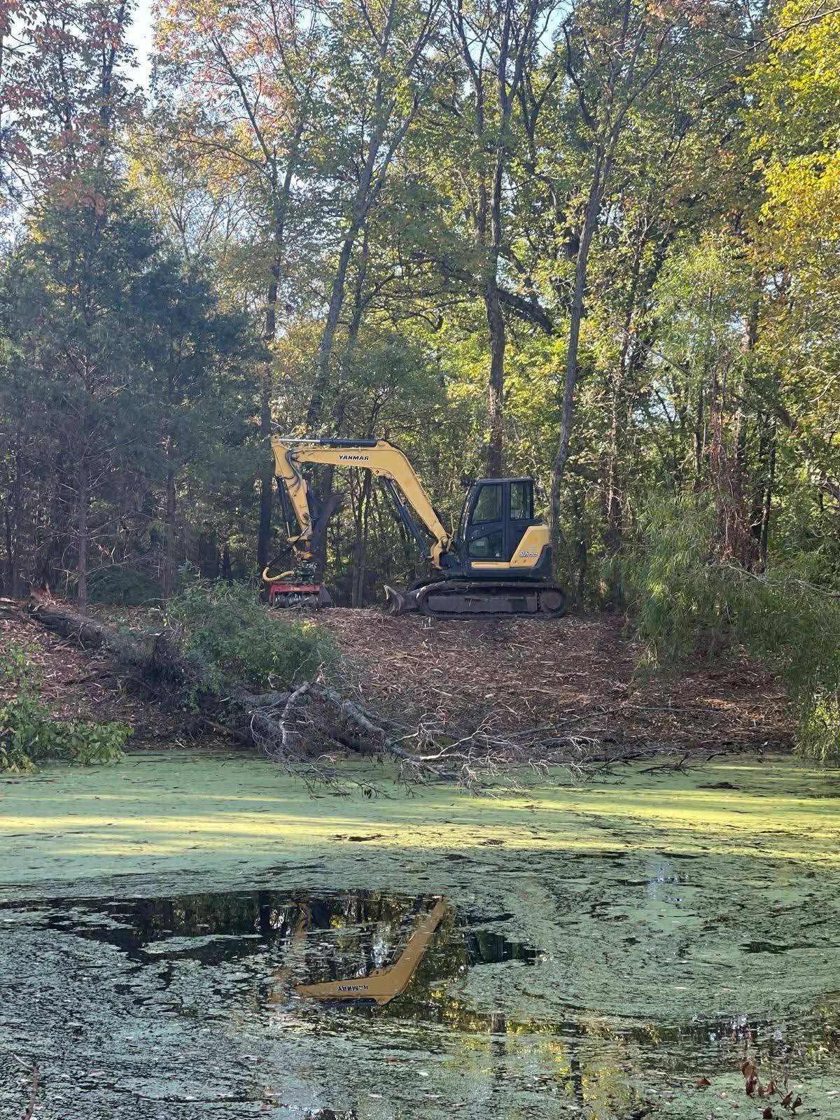 An excavator sits on a wooded bank, near a pond covered in algae.
