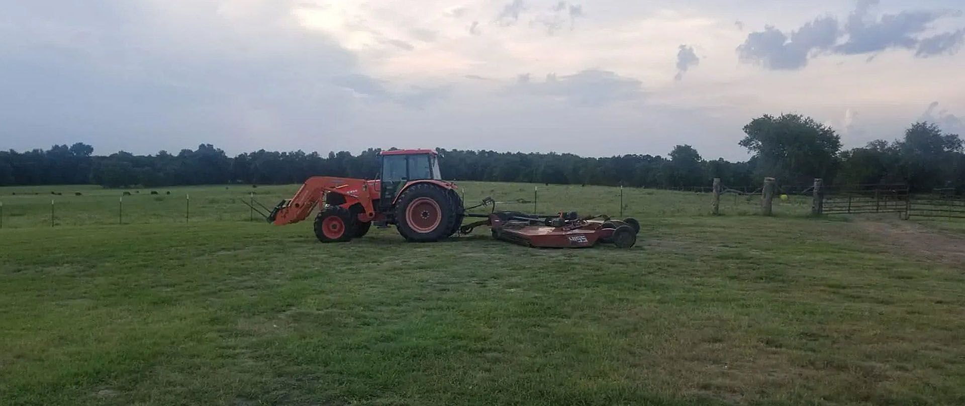 A yellow skid steer mulching trees, with wood chips spraying out, in a field with trees in the background.