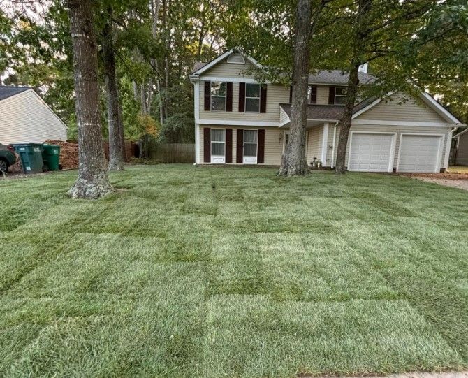 New SOD installed by Dreamscapes