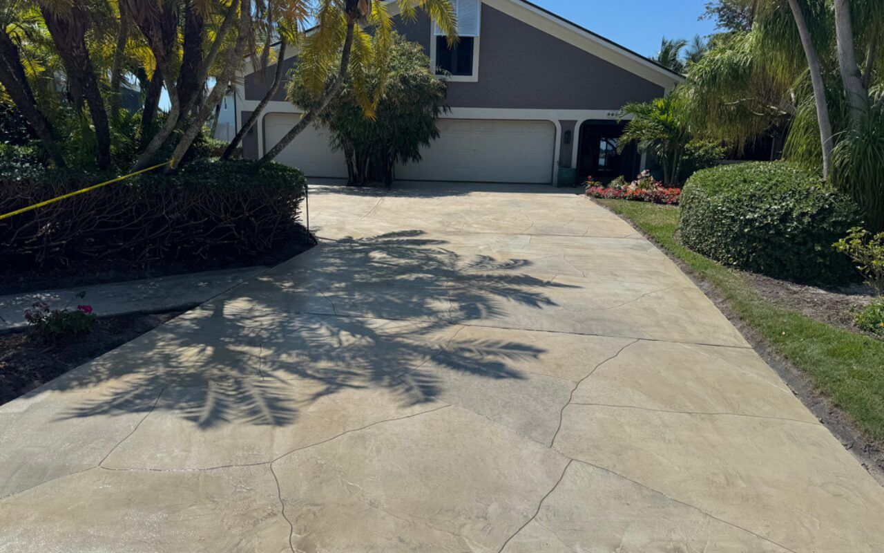 Driveway leading to a suburban house with garage, flanked by bushes and trees in bright sunlight