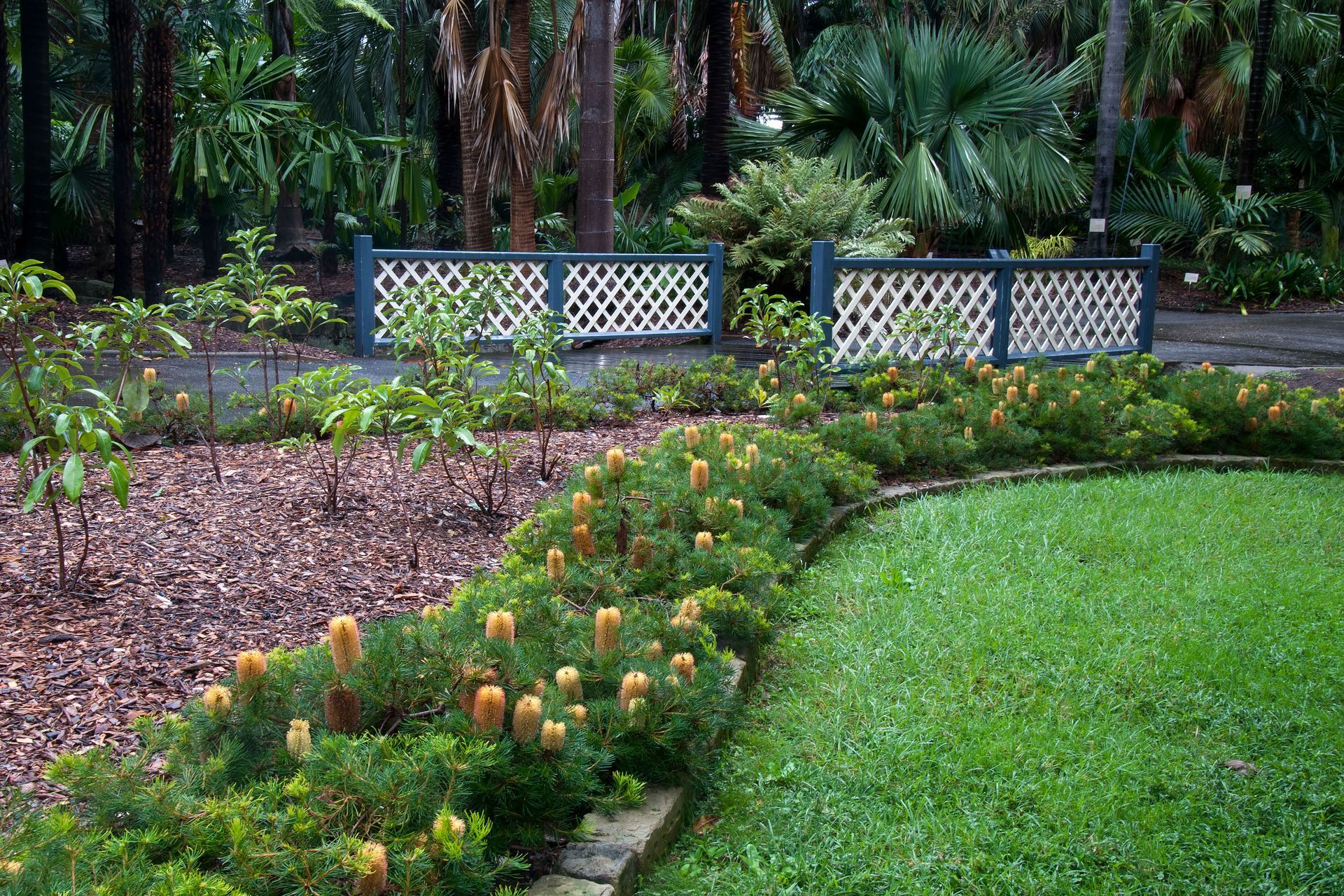 4 Reasons Why You Should Invest in Native Plants