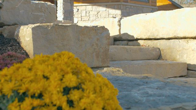 Yellow flower in foreground, stone steps and retaining wall in sunlight.