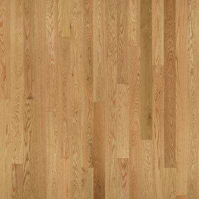 Light-colored hardwood floor planks arranged vertically.