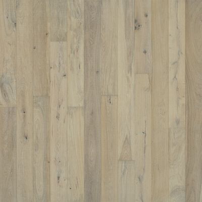 Light, weathered wood flooring with vertical grain and varying shades of gray and beige.