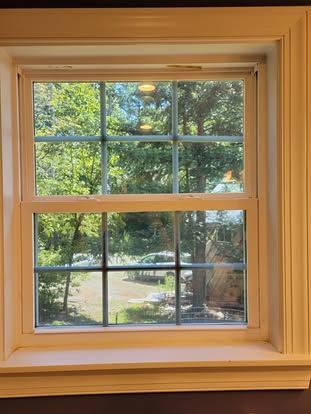 A white-framed window with a muntin grid looking out onto a sunny yard with trees and a parked car.