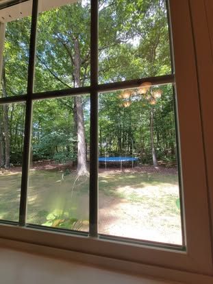 A view through a windowpane looking out at a backyard with a blue trampoline and surrounding trees.