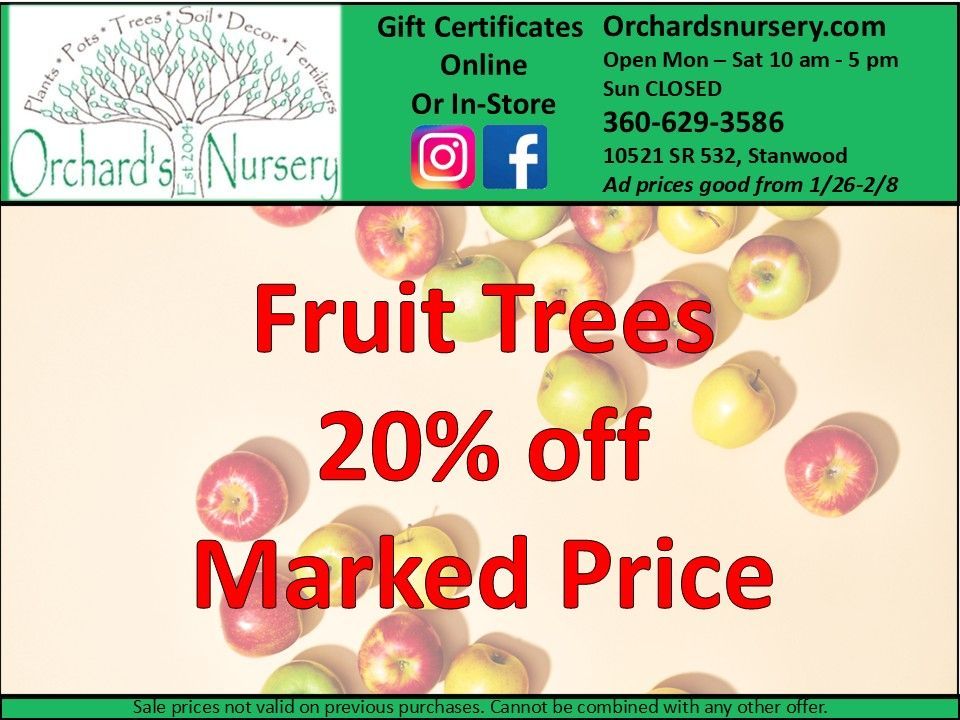 Advertisement for Orchard's Nursery: Garden Art and Houseplants are 20% off.  Open Mon-Sat 10 am - 5 pm.