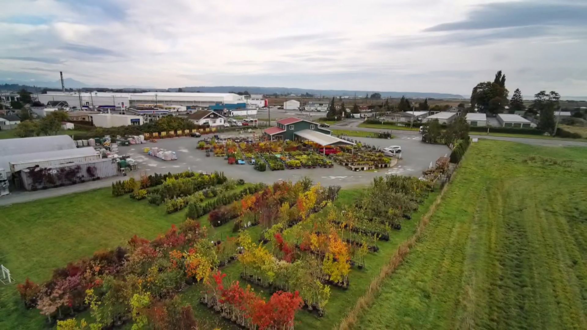 Aerial view of a garden center with rows of plants in front and buildings in the background under a cloudy sky.