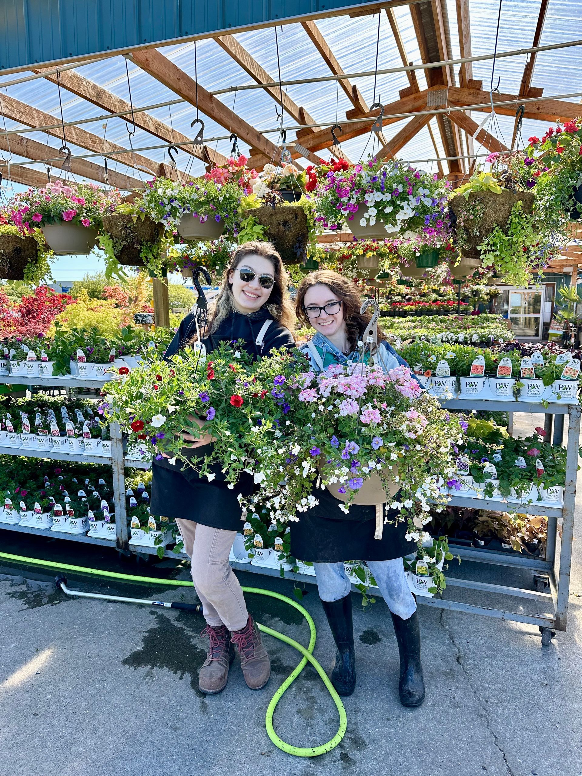 Two women hold flower baskets in a greenhouse filled with blooming flowers. Sunny day.