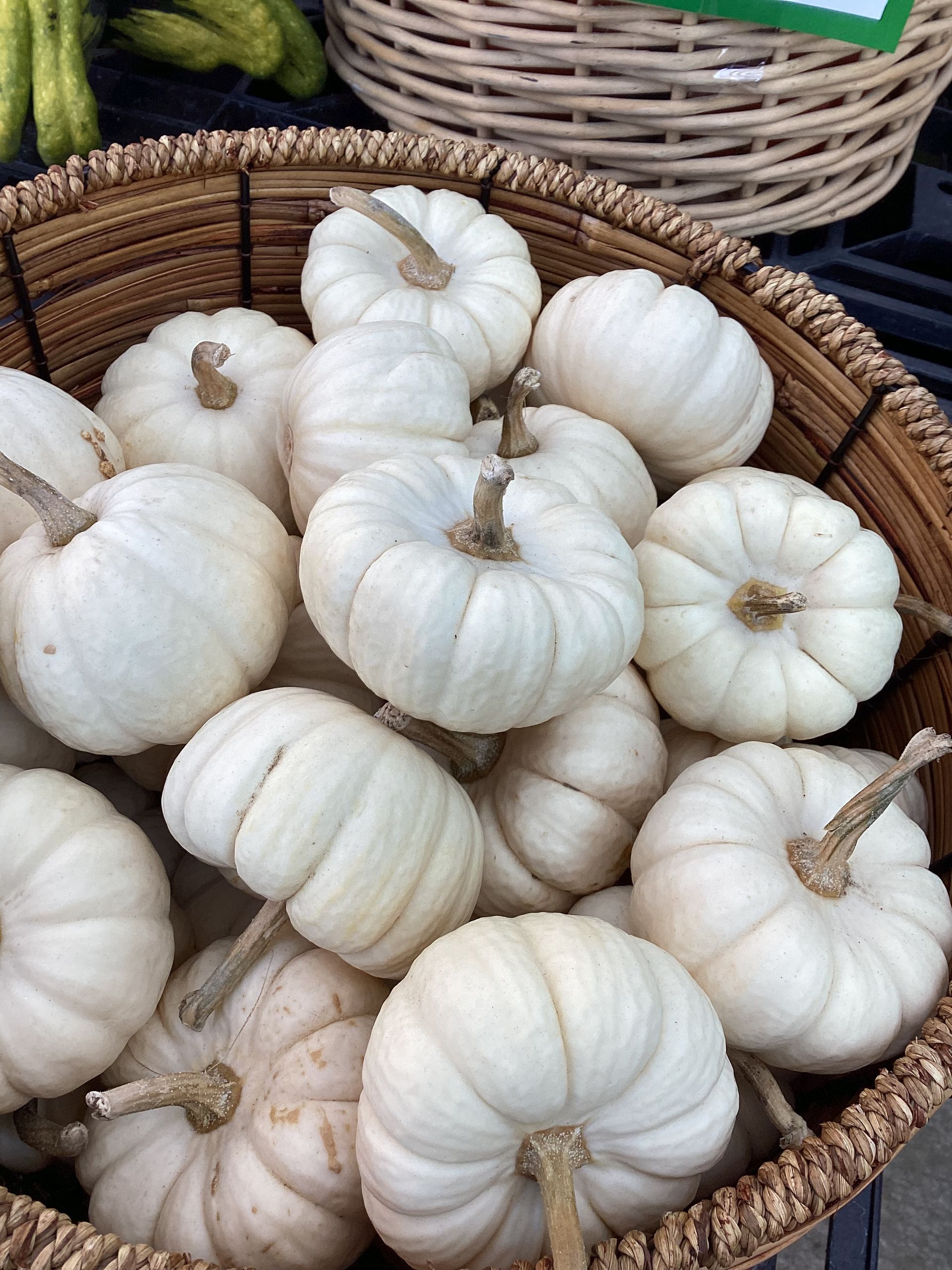 Small white pumpkins in a woven basket, displayed at a market.