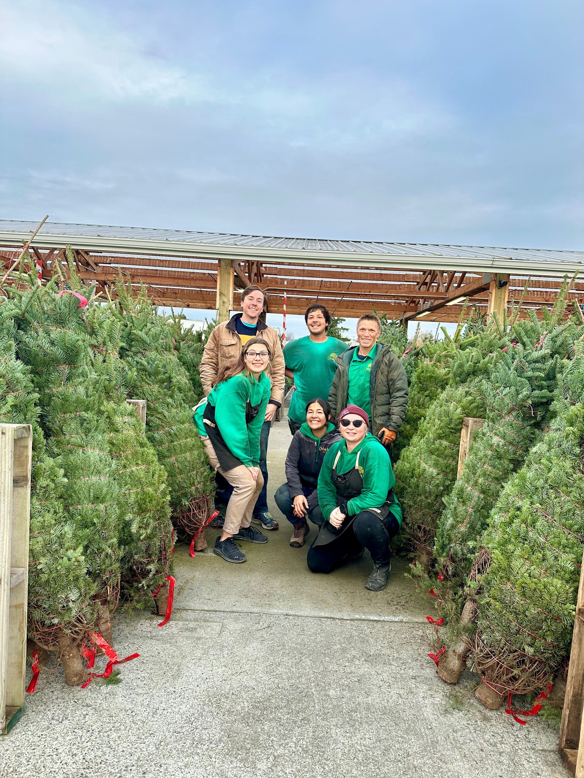 Group of people in green shirts pose among Christmas trees.