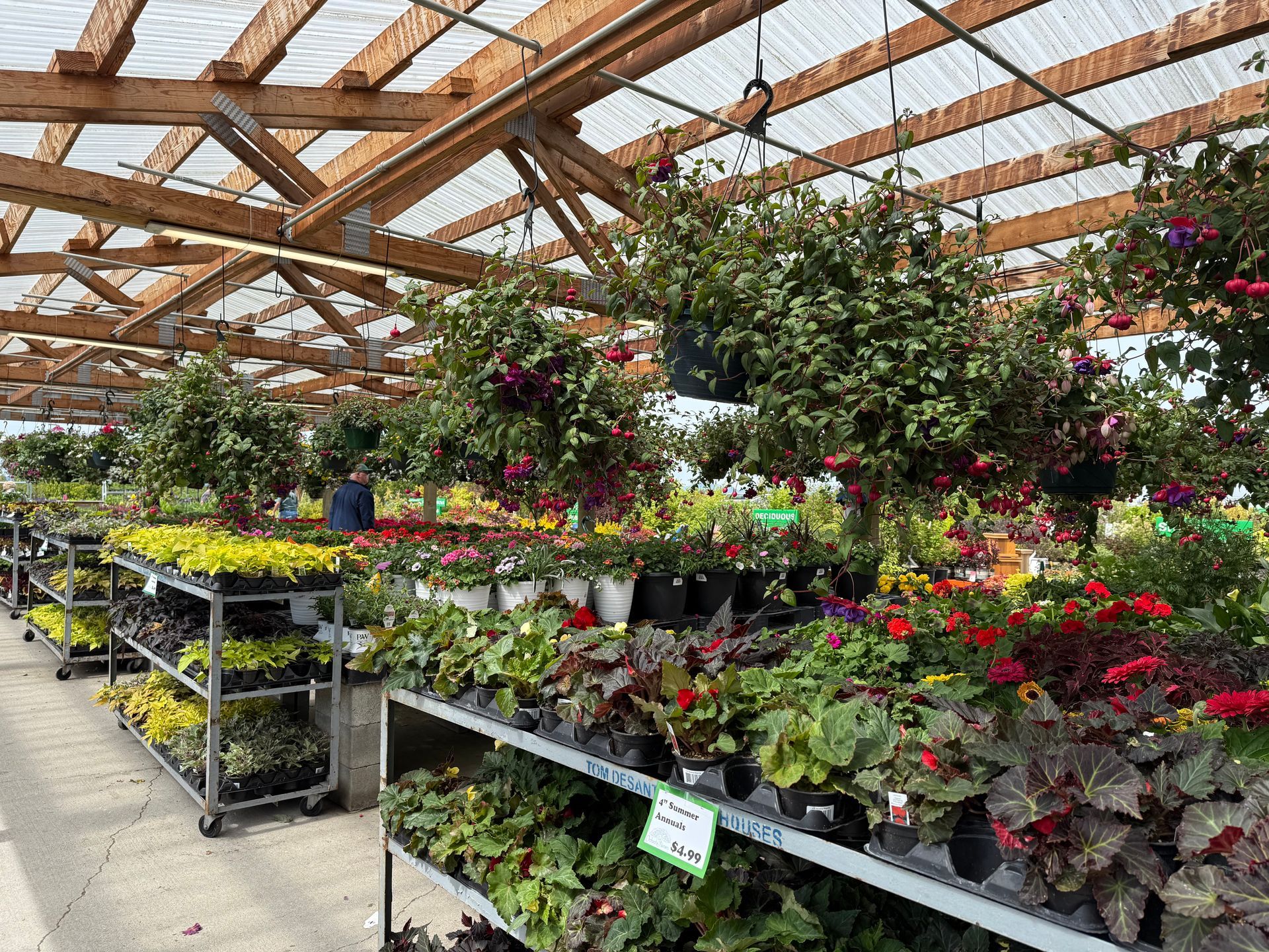 Greenhouse filled with colorful flowers and hanging baskets.