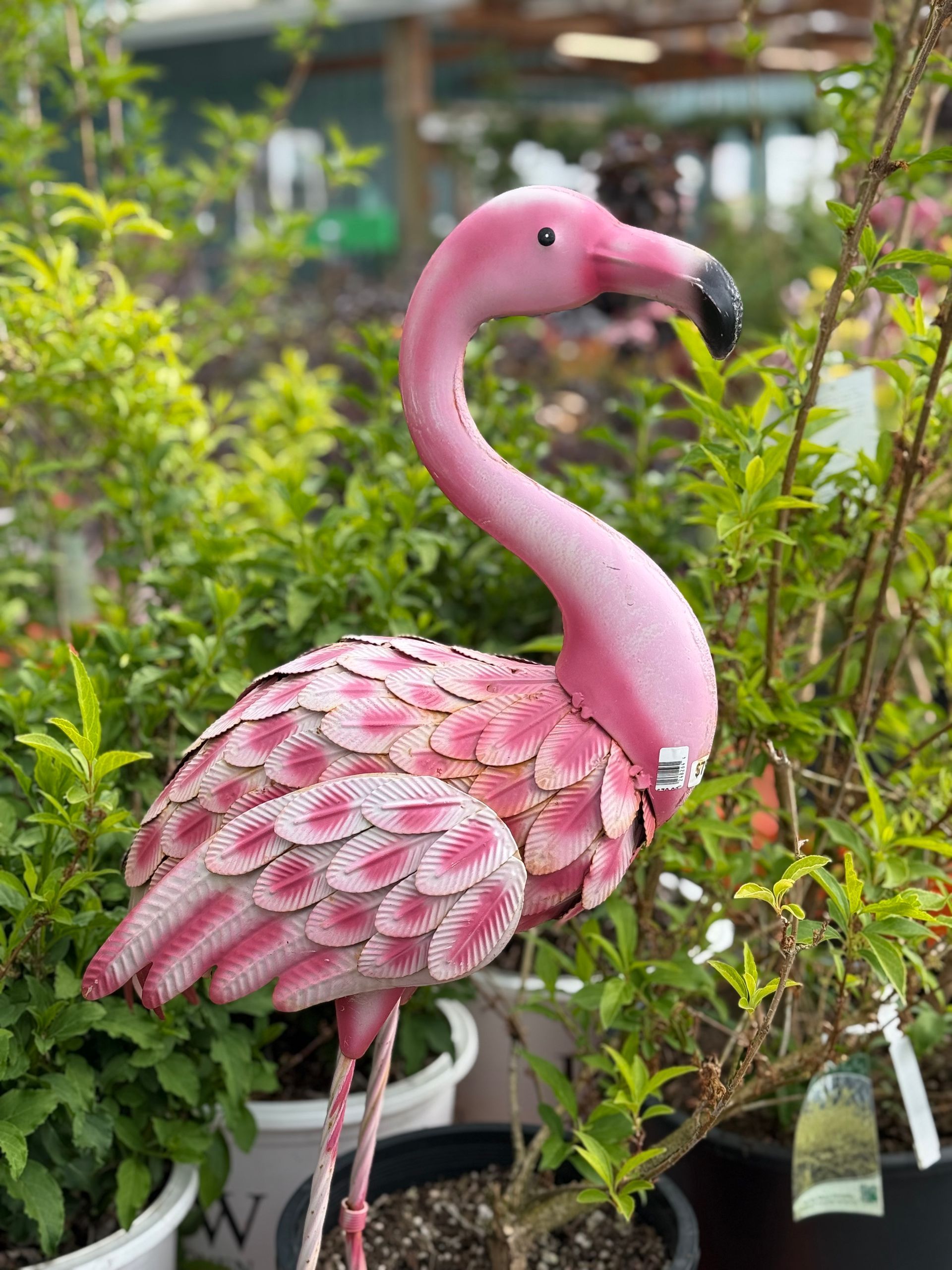 Pink metal flamingo statue in a garden setting, surrounded by green plants.