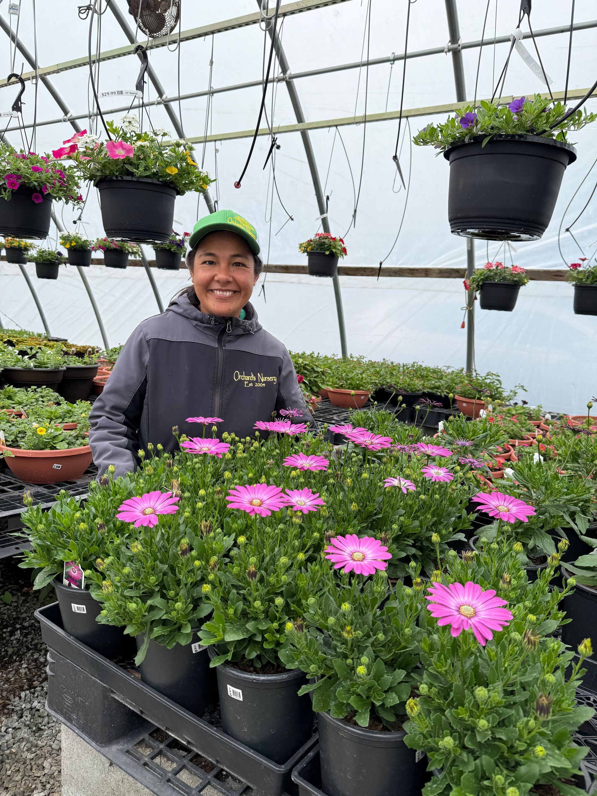 Woman in greenhouse smiling, surrounded by pink flowers, with hanging flower baskets.