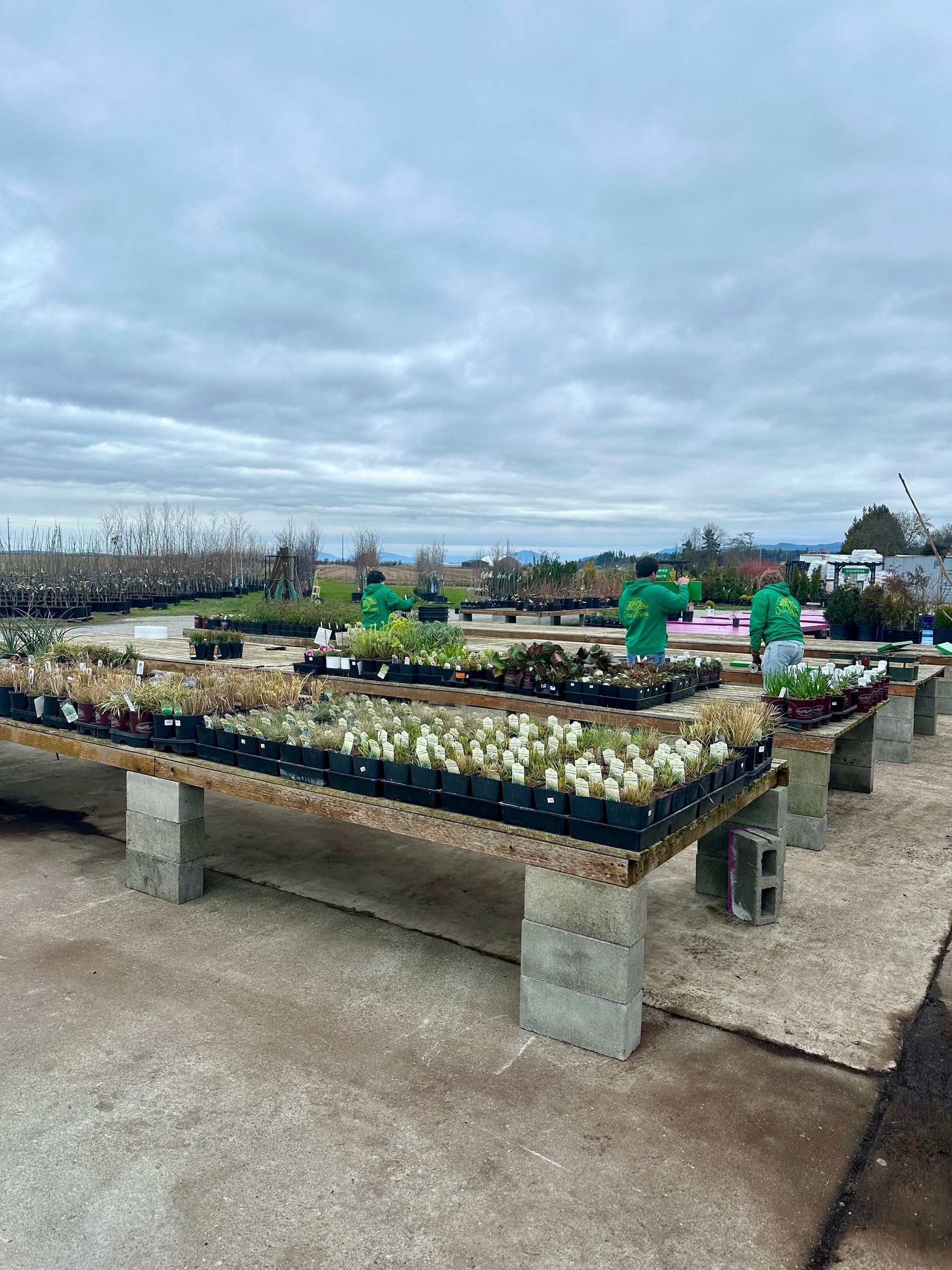 Outdoor garden center with plants on tables supported by cinder blocks under a cloudy sky.