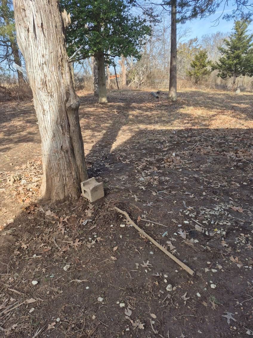 Dirt clearing with a tree, a brick, and a stick. Brown leaves and trees in the background under a blue sky.