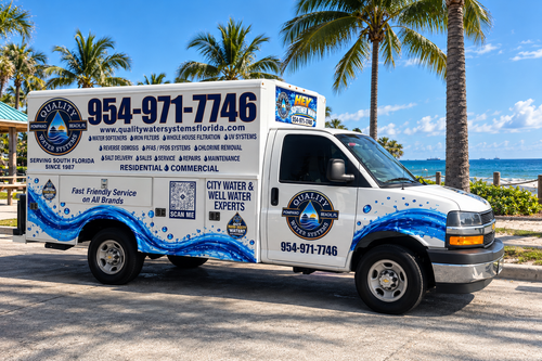 White and blue commercial van parked by a beach.