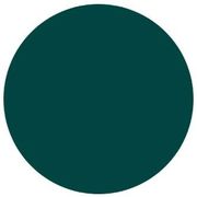A terra brown circle on a white background.