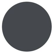 A pure green circle on a white background.