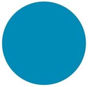 A light blue circle on a white background.